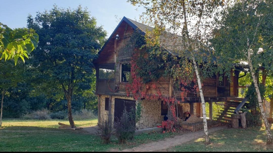 Log Cabin Belgrado Exterior foto