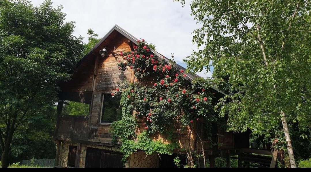Log Cabin Belgrado Exterior foto